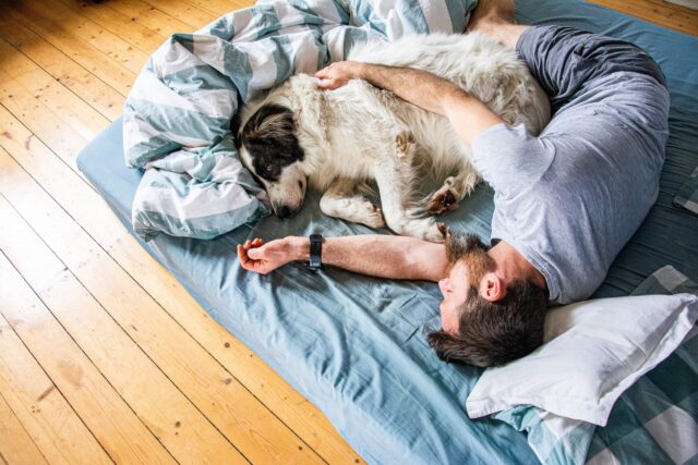Man en hond op matras