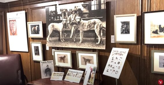Hondententoonstelling in de Kennel Club Art Gallery tijdens het 150-jarig jubileum
