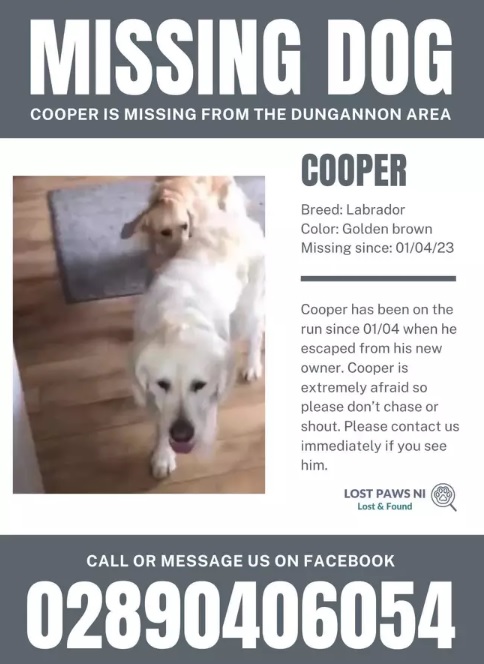 Coopers ontbrekende poster