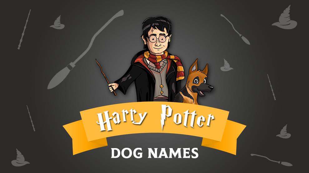Harry Potter Hondennamen