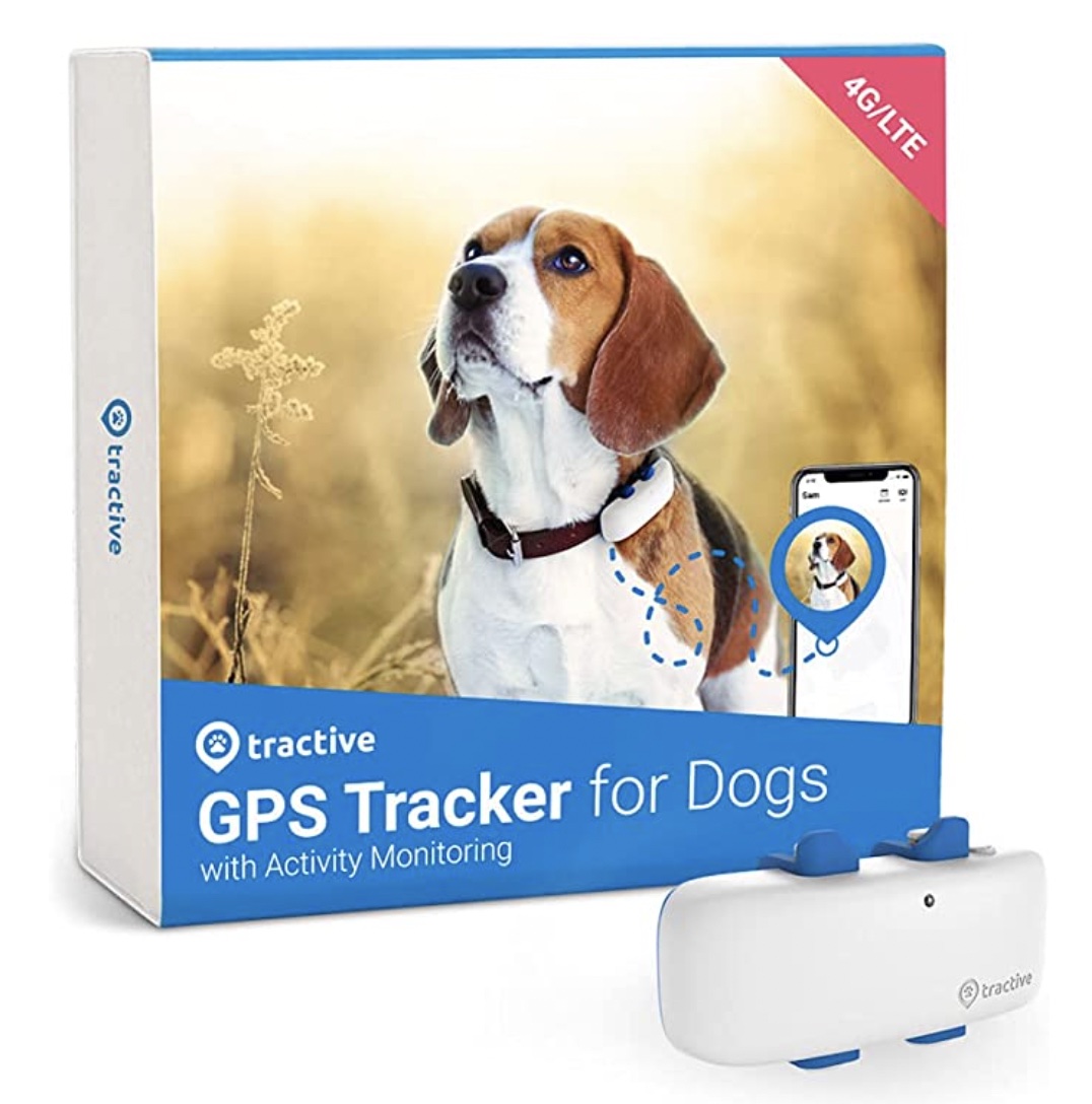 Tractive LTE GPS Hond Tracker