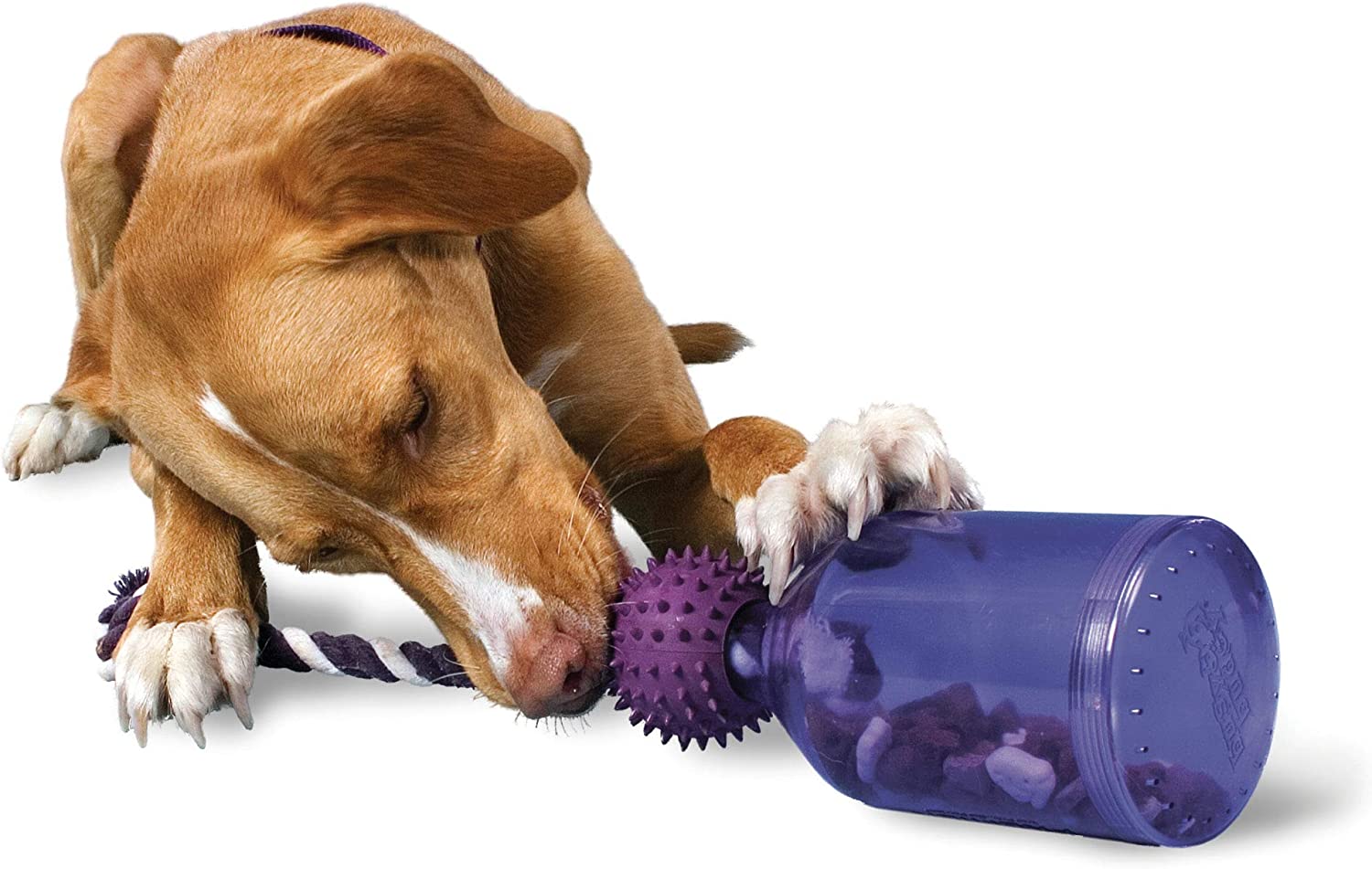 11. PetSafe Busy Buddy Sleep-A-Jug Maaltijd-Dispensing Toy