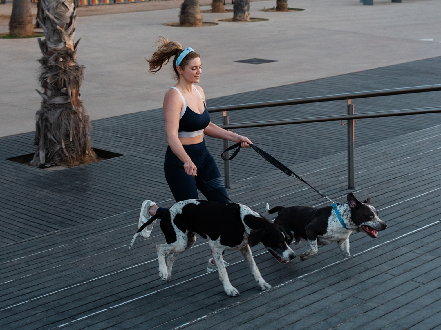 vrouw die met twee honden van gemengd ras loopt