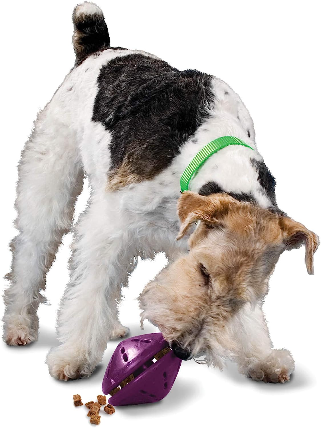 4. PetSafe Busy Buddy Twist 'n Treat Hondenspeelgoed