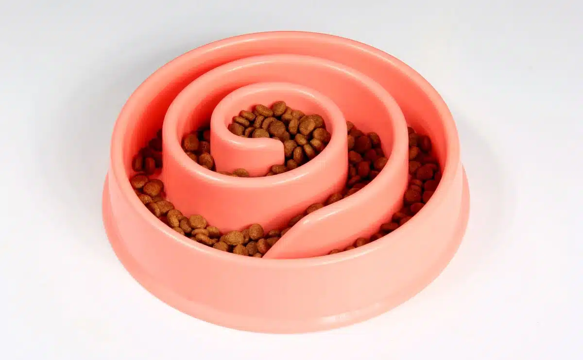 slow feeder hondenbak in roze gevuld met brokjes