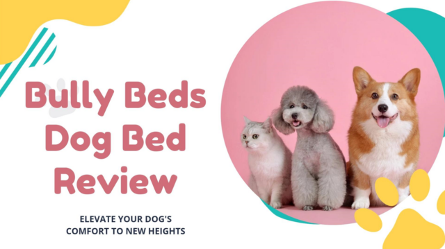 Bully Beds Dog Bed Beoordeling