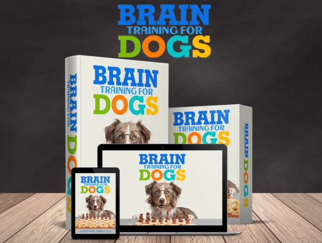 Brain Training for Dogs inhoud