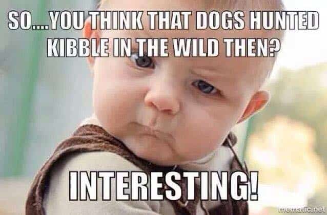 Dus... Denk je dat honden toen in het wild op brokjes jaagden? Interessant!- Eindeloze Mt. Labradors