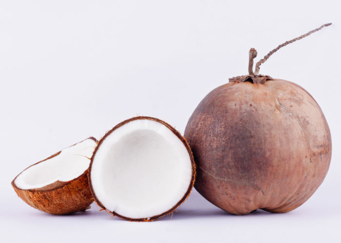 kokosnoot voor honden