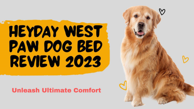 Heyday West Paw Dog Bed Beoordeling