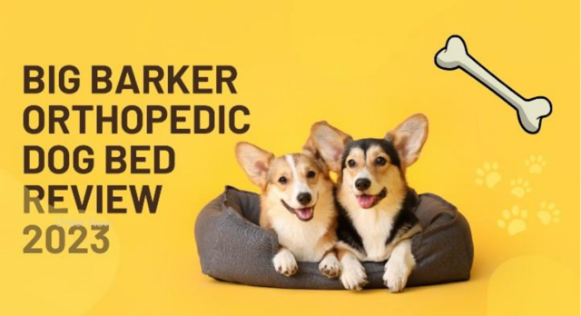 Big Barker Orthopedische Hondenmand Review