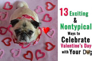 Valentijnsdag met je hond