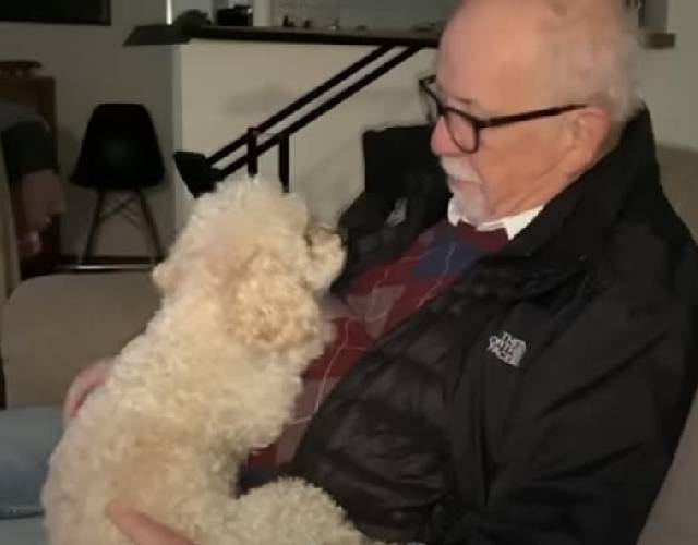 Hond met papa