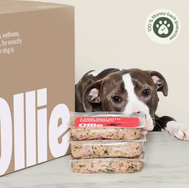 Hond snuffelt aan Ollie verpakking