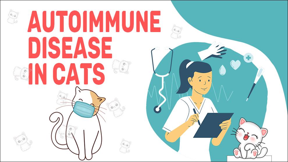 Autoimmue ziekte bij katten