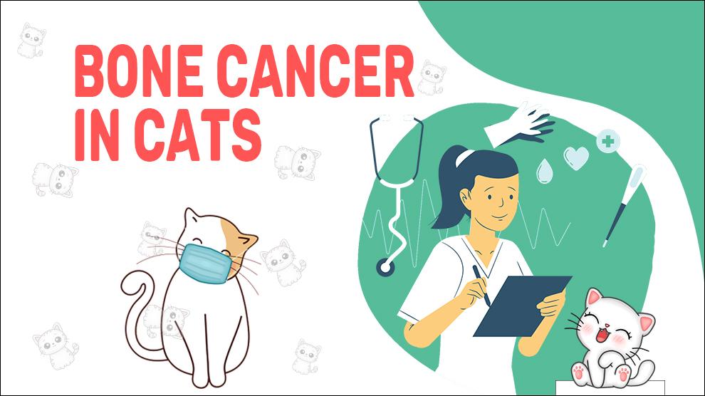Botkanker bij katten