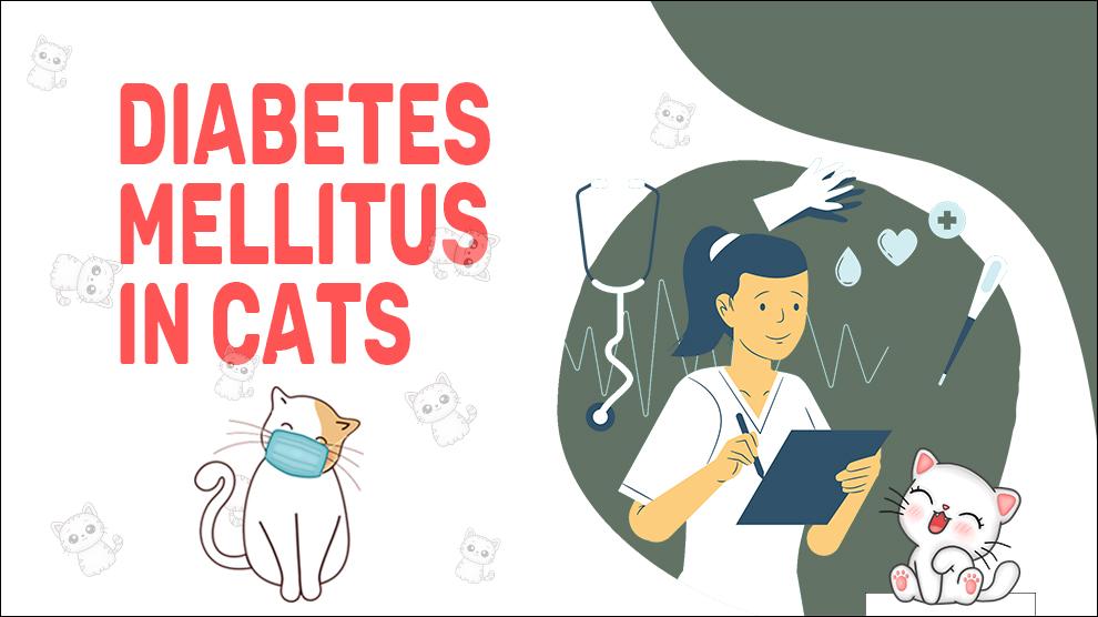 Diabetes mellitus bij katten
