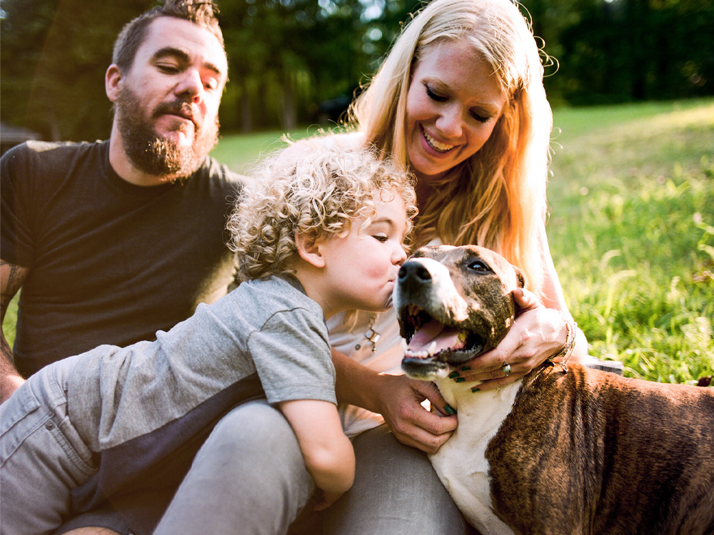 Familie introduceert kind aan pas geadopteerde pitbullhond