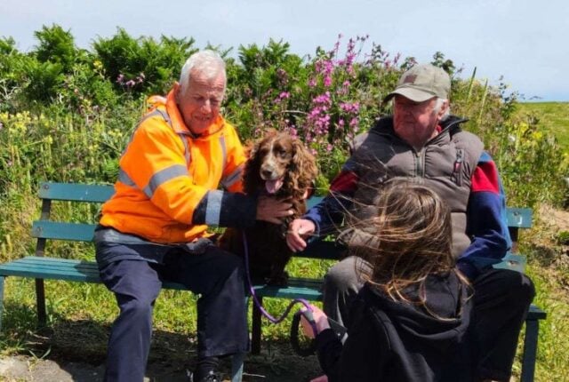 Hond gered aan de kust van Guernsey na gespot door kajakkers