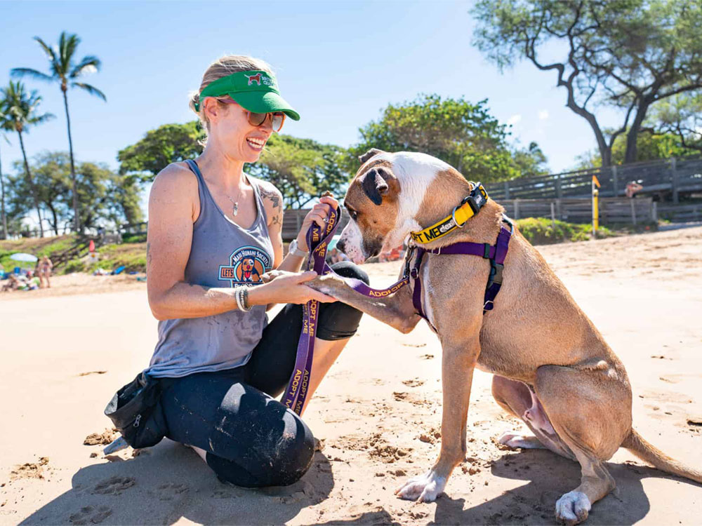 Maui Humane Society Beach Buddy en Hond