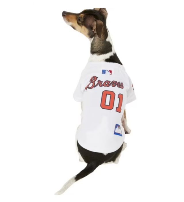 Hond die MLB-shirt draagt