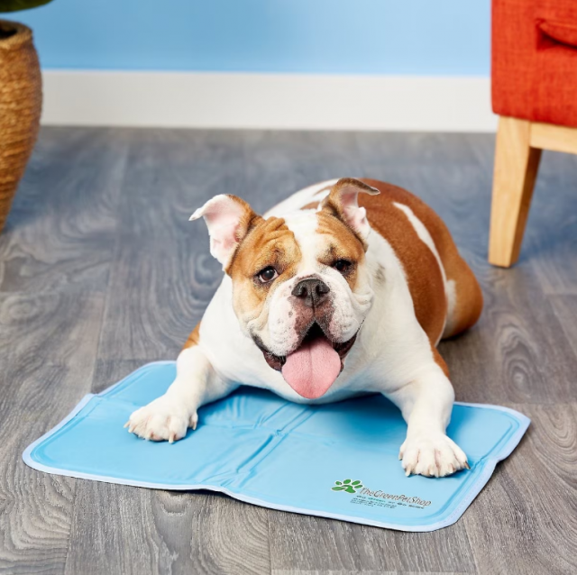De Green Pet Shop Dog Cooling Mat