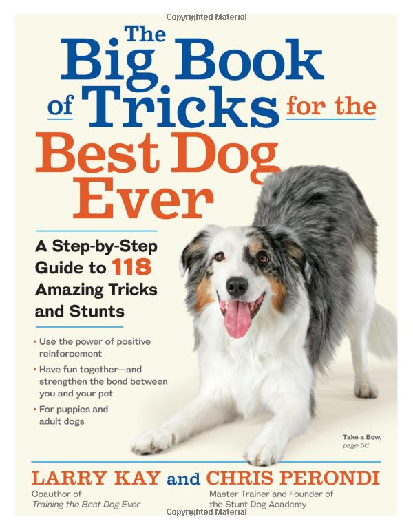 Het grote trucboek voor de beste hond ooit