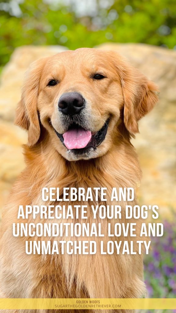 Dog Love National Dog Day Bijschriften