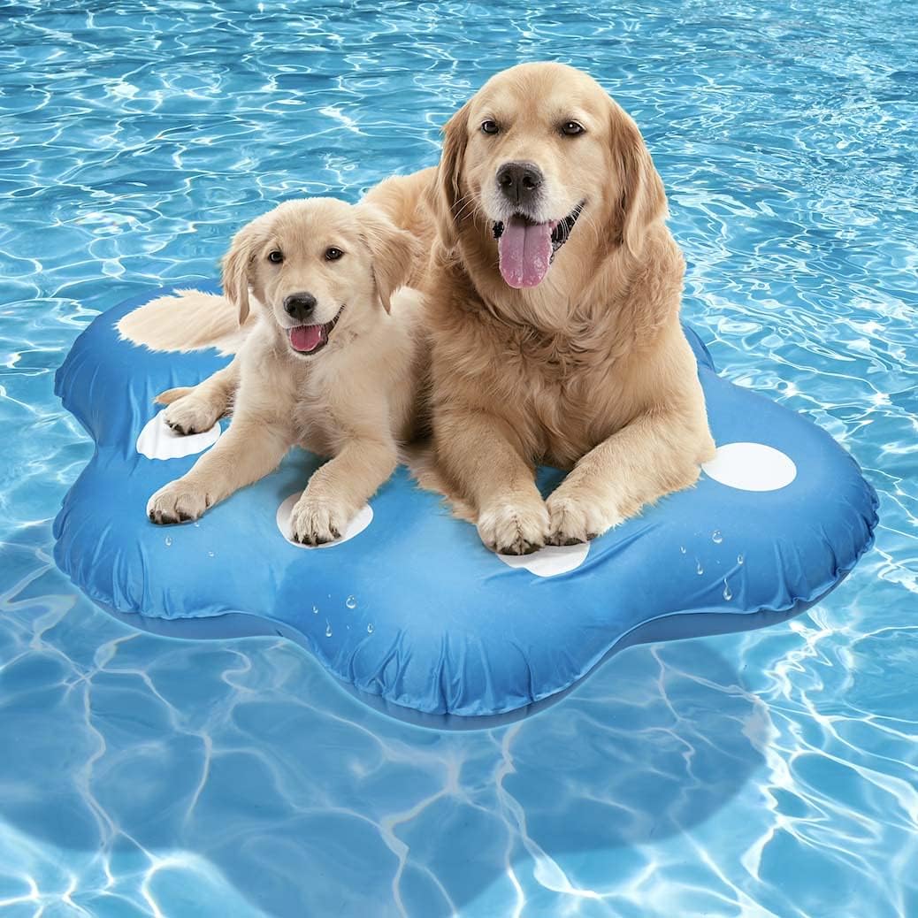 Milliard X-Large Dog Float voor zwembad