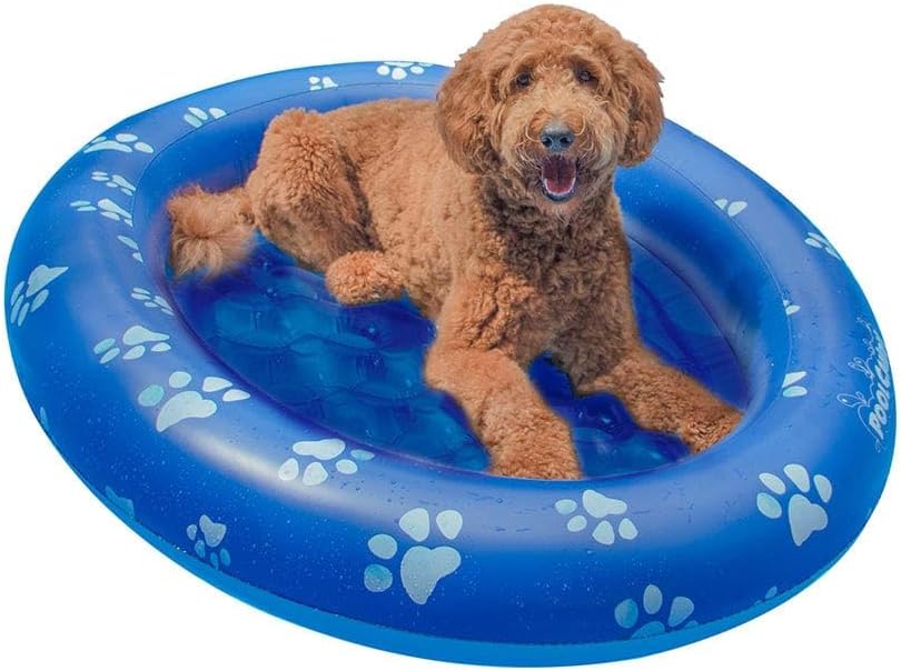 PoolCandy Opblaasbare Pet Float