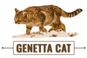 Genetta Kat