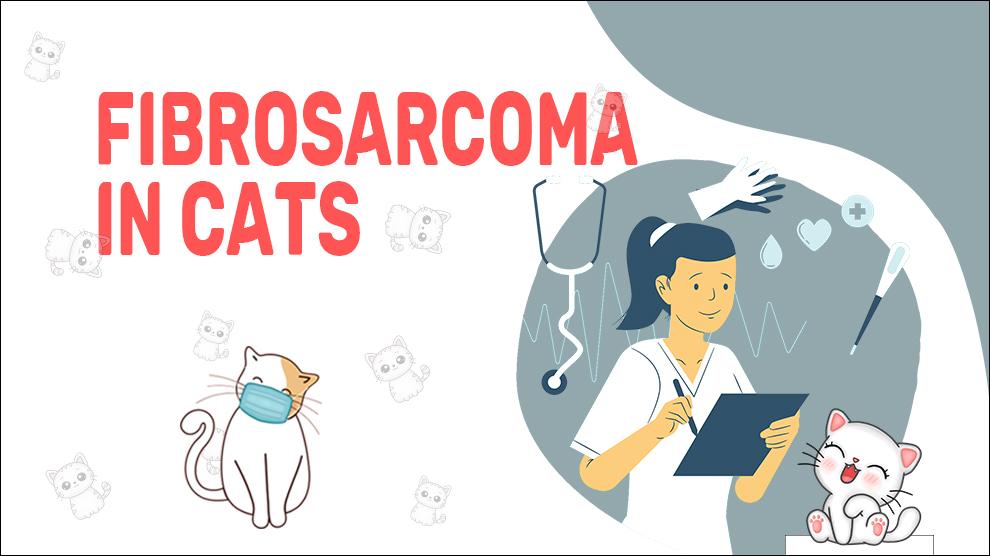 Fibrosarcoom bij katten