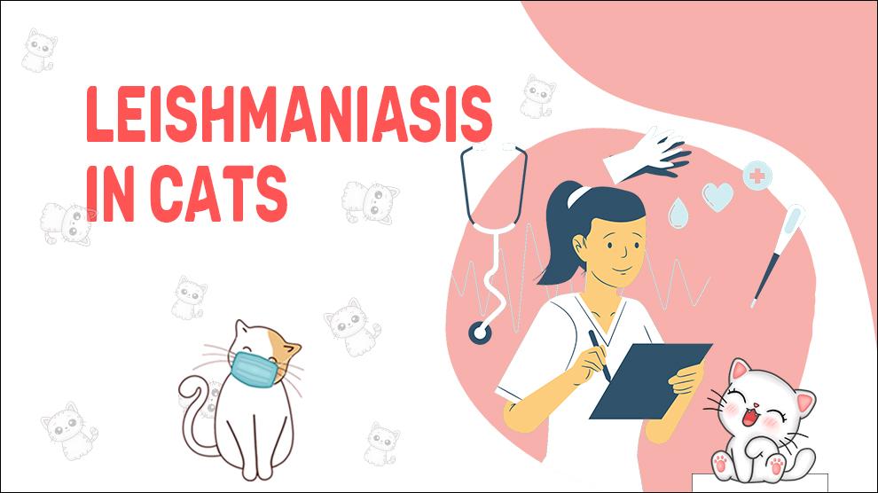 Leishmaniasis bij katten