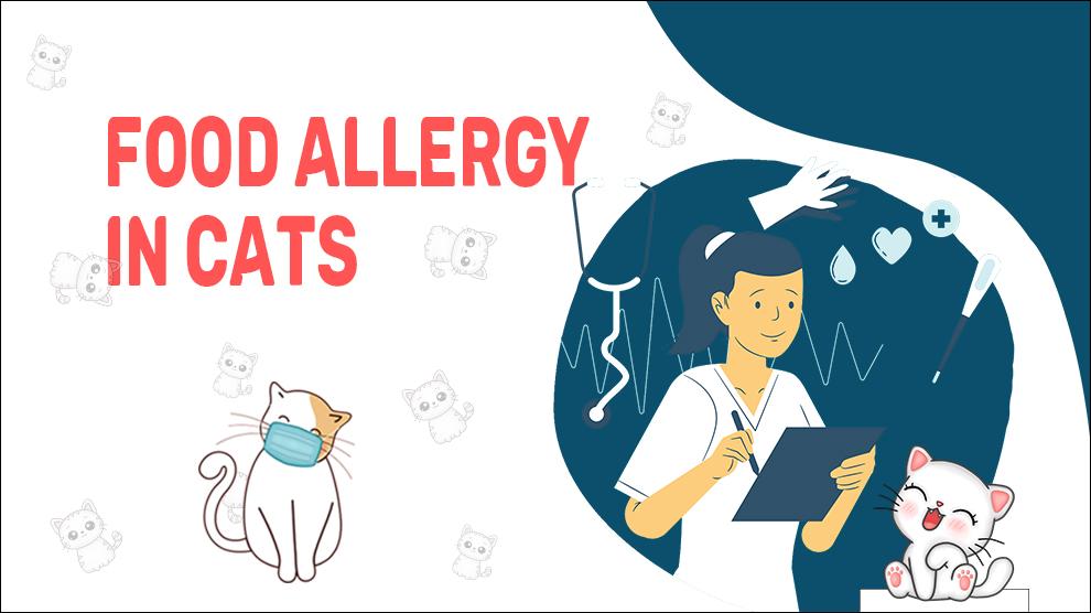 Voedselallergie bij katten