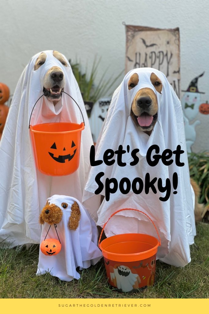 Ghost Dog Kostuum Halloween Dog Bijschriften