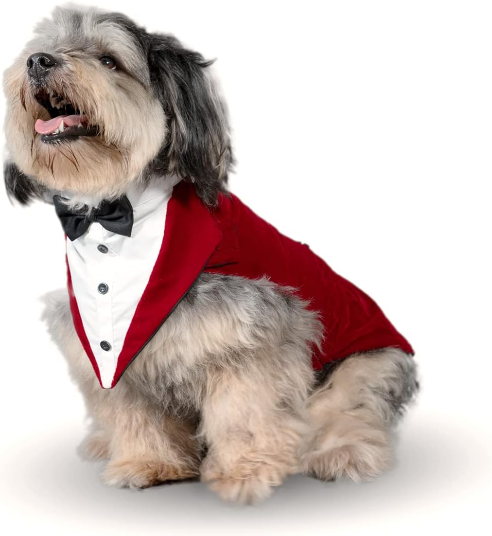 Puptail Dog Suit of Dog Tuxedo en Bandana Set
