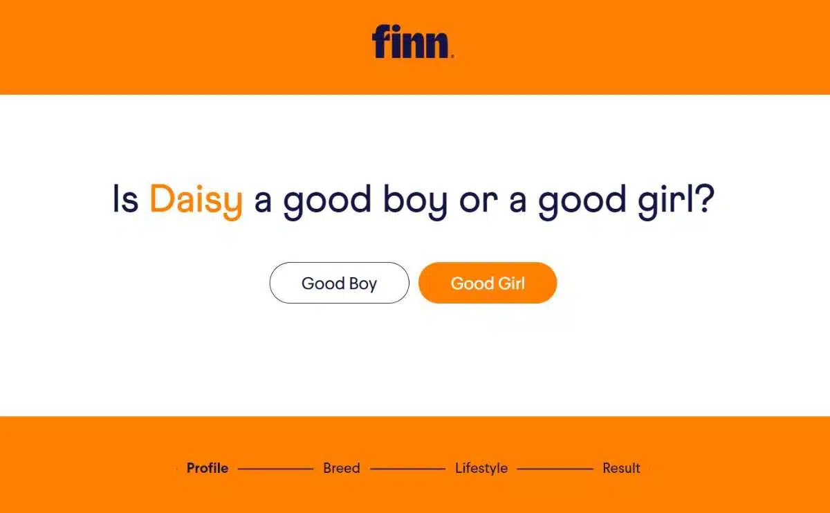 Finn Dog Supplement quiz vraag over goede jongen of meisje