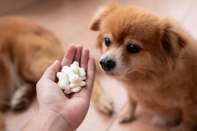calciumsupplementen voor honden