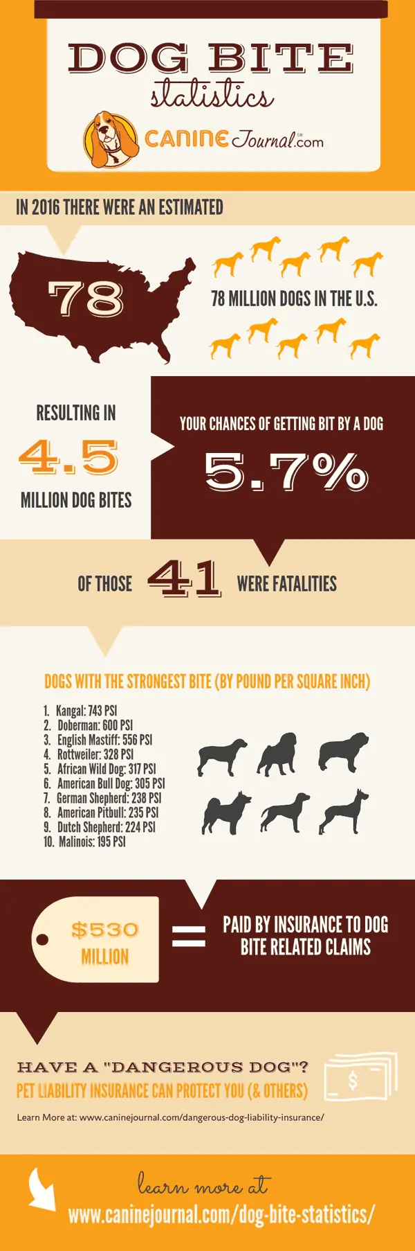 Infographic over hondenbeetstatistieken