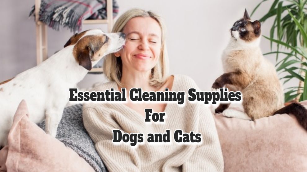 Essentiële schoonmaakmiddelen voor honden en katten