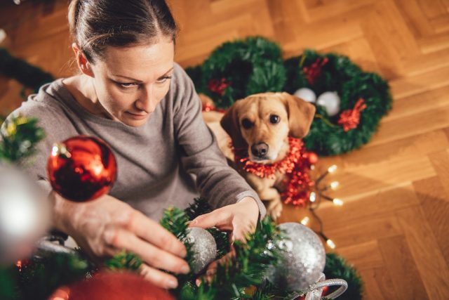 Ornamenten ophangen met hond