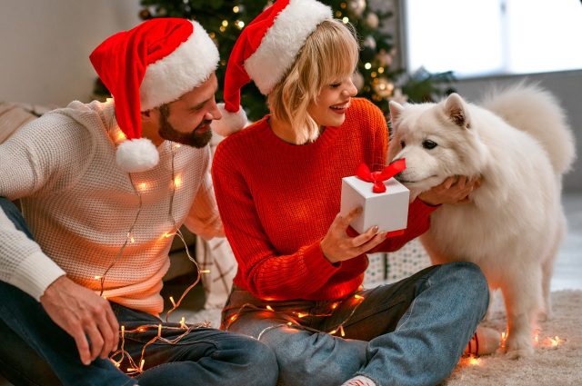Hond een kerstcadeau geven
