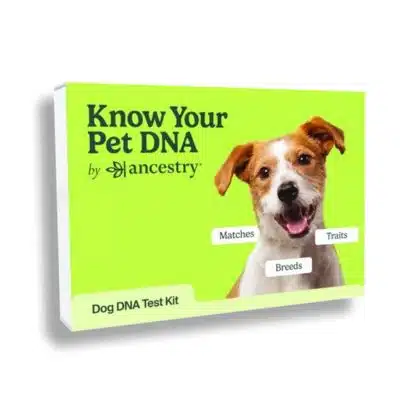 Afstamming honden-DNA-test