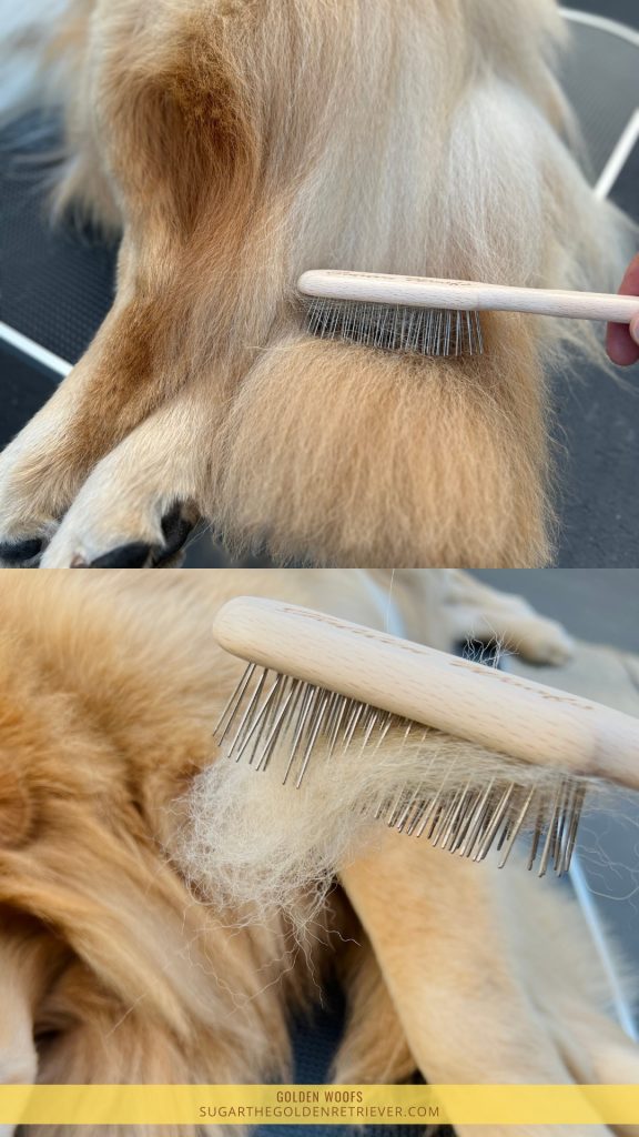 Liefde Chris Christensen Langwerpige Hond Pin Brush