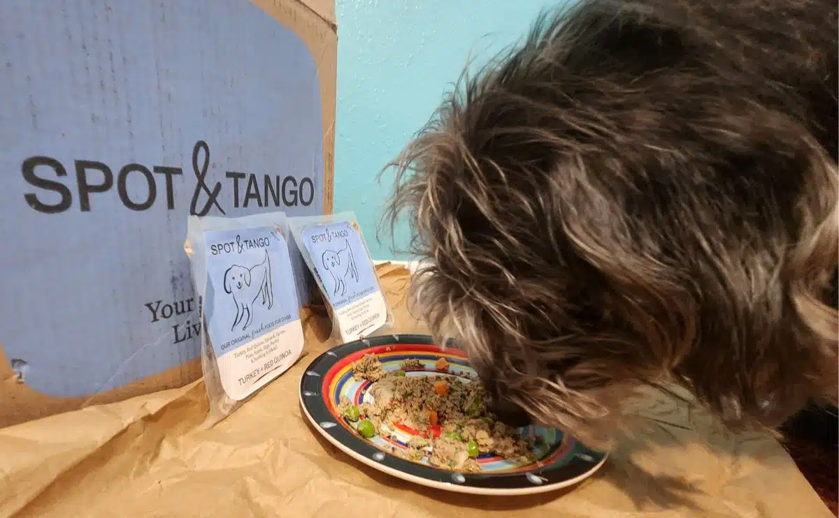Hondeneetplek en tango hondenvoer naast doos