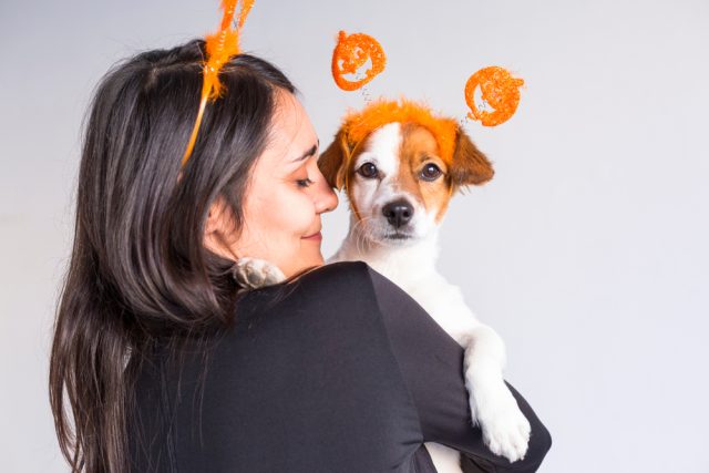 Tricks N Treats: hoe je je hond kunt voorbereiden op Halloween