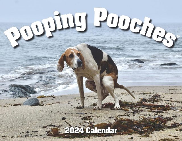 Poepende puppy's kalender 2024