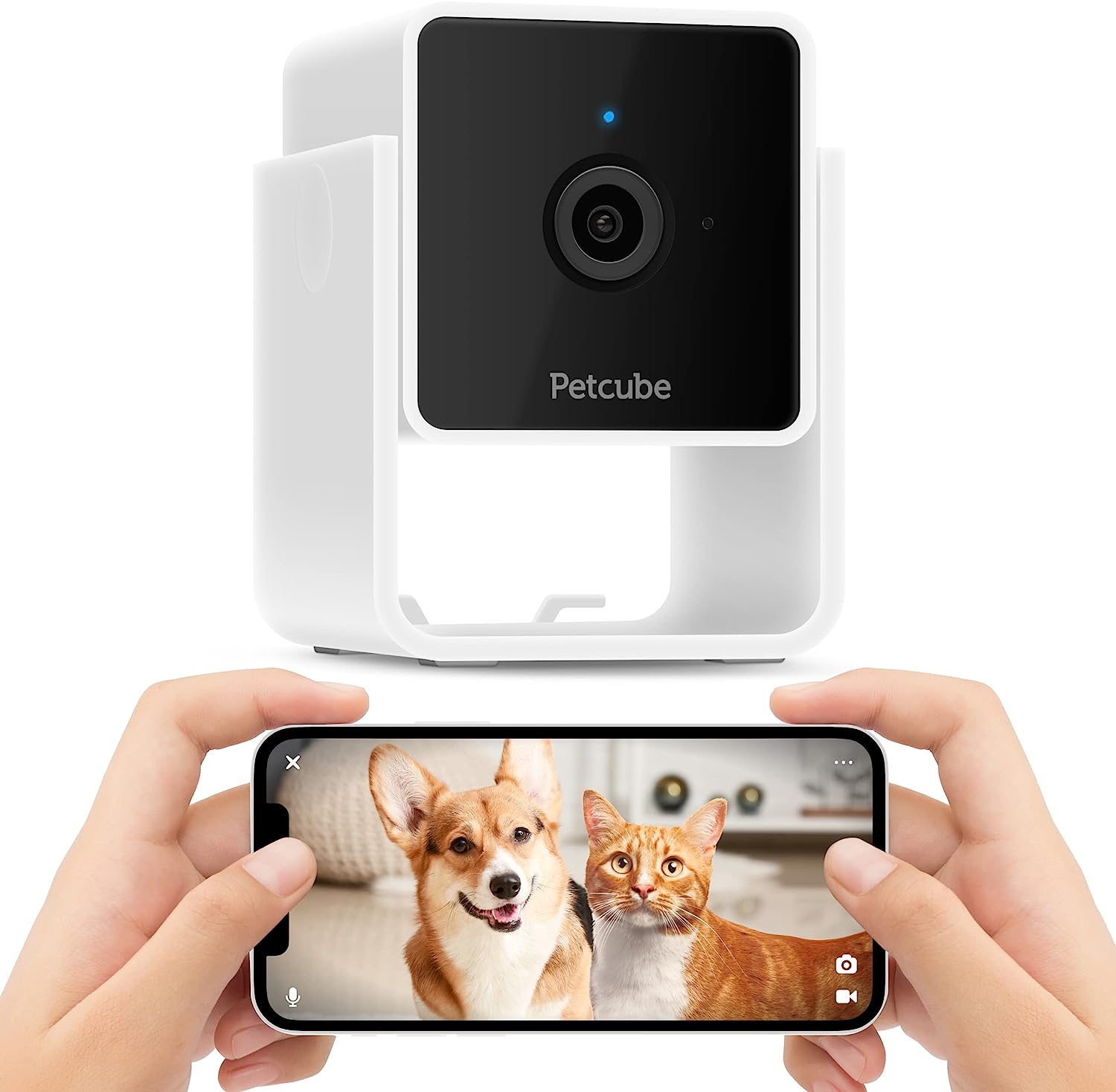 Petcube Cam HD-bewakingscamera