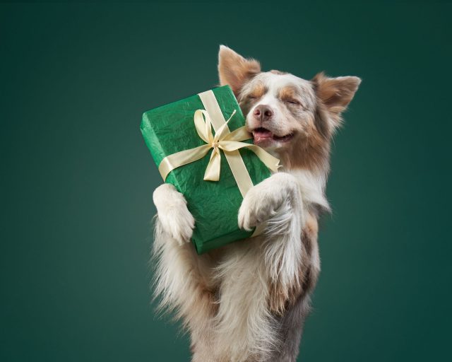 Cadeaus voor hondenliefhebbers onder de $20