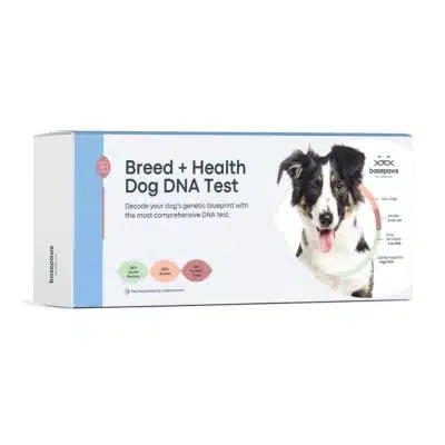 BasePaws Hond Gezondheid DNA-test